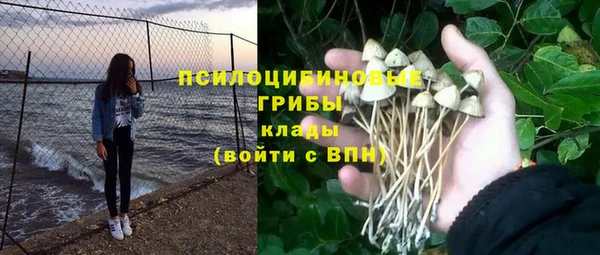 гашиш Елизово